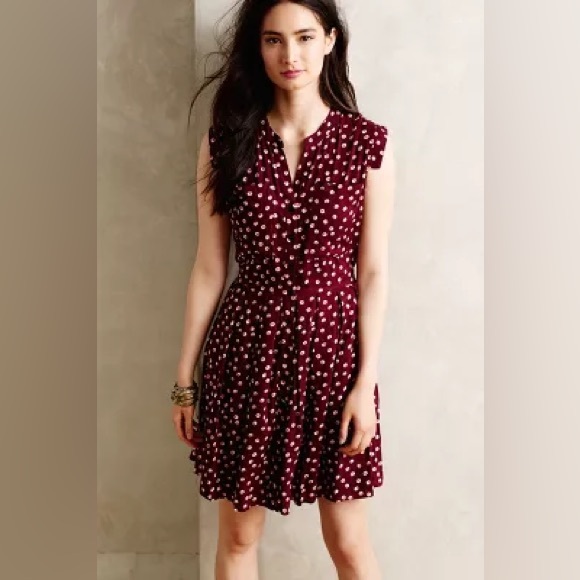 Anthropologie Dresses & Skirts - (Anthropologie | 11.1.TYLHO Dress)